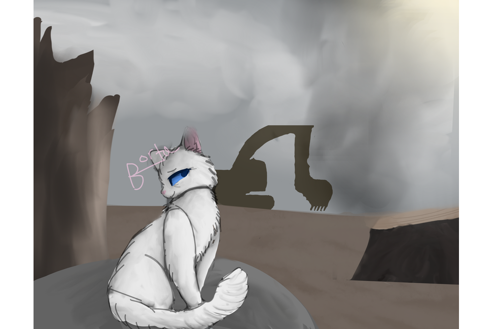 Borta the cute – Favorite elder challenge