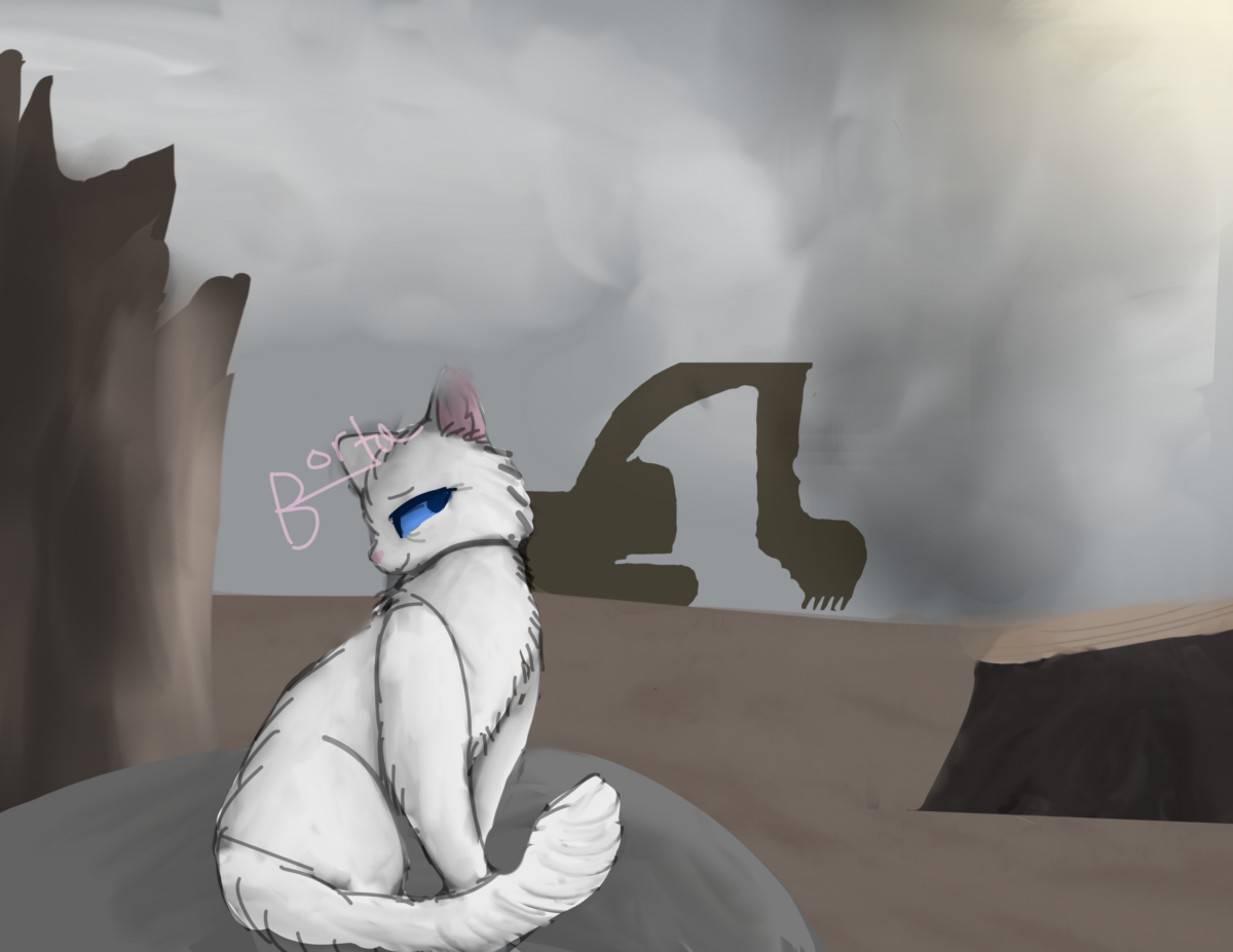 FallenRain – Favorite elder challenge