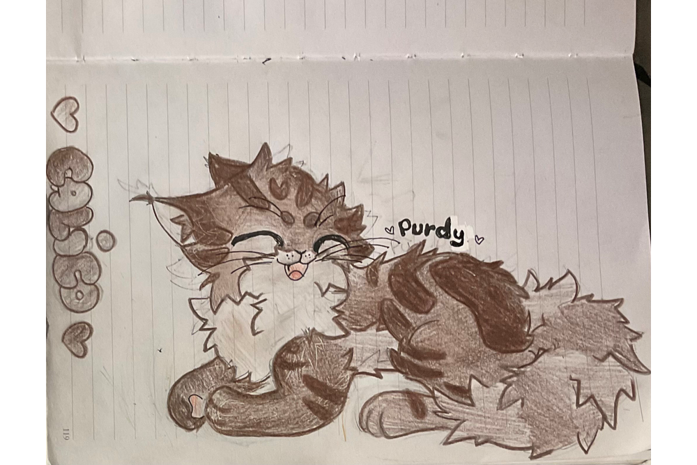 CALICO – Favorite elder challenge