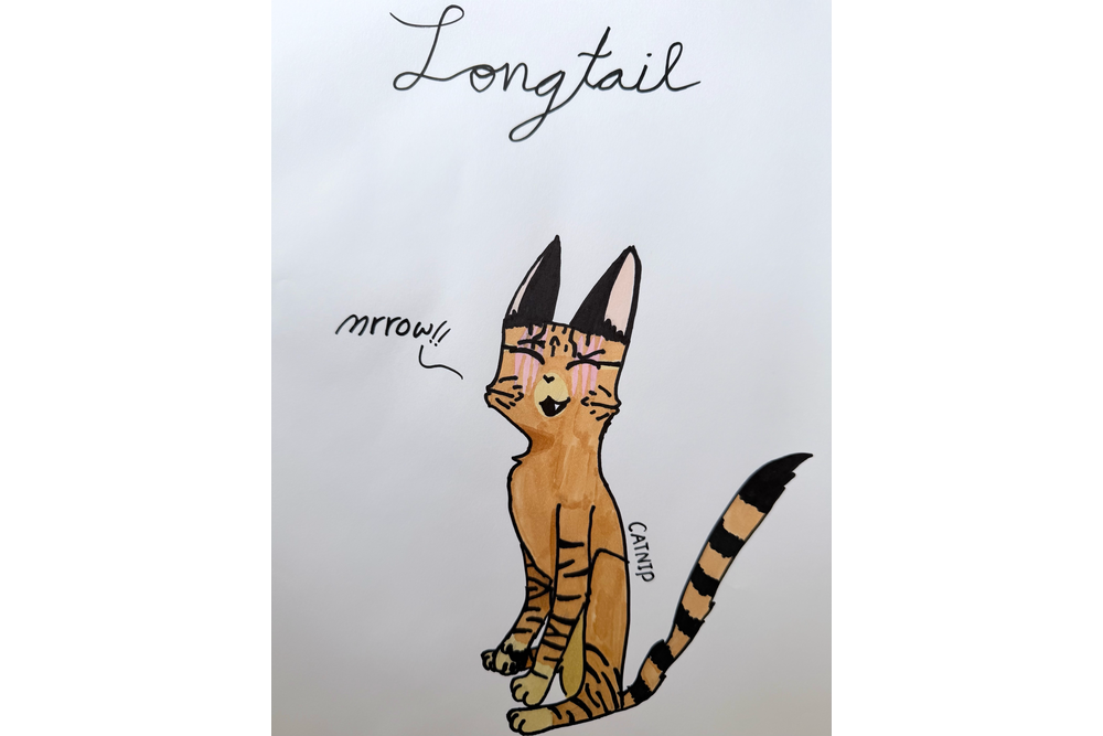 Cat_nip– Favorite elder challenge