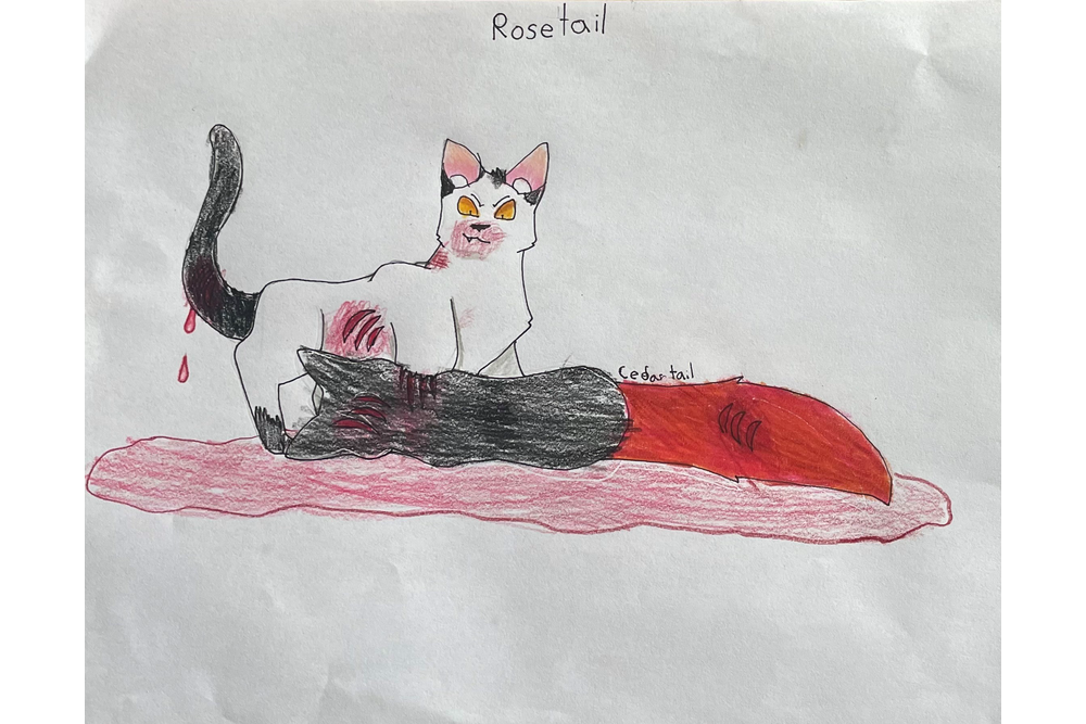 Cedartail – Favorite elder challenge