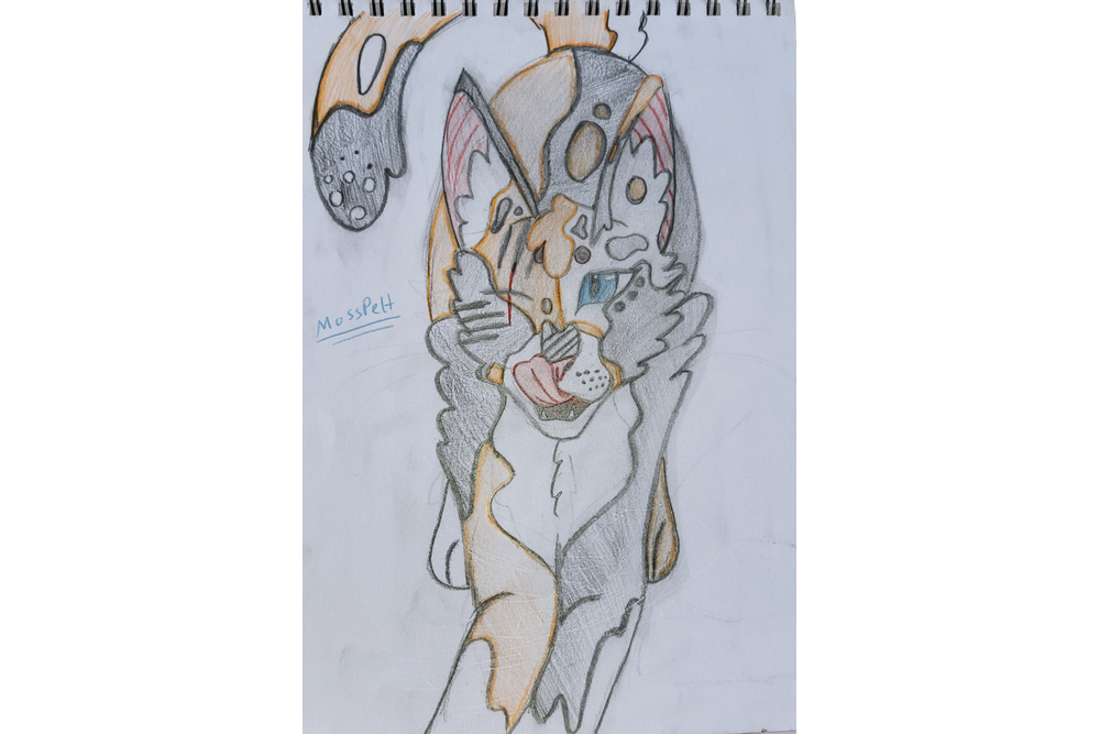 CinderJay – Favorite elder challenge