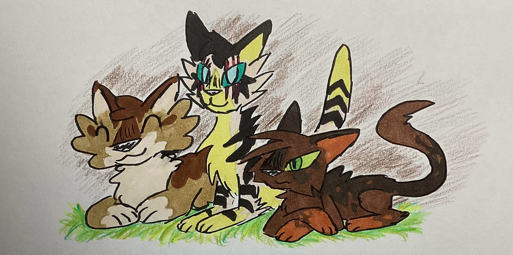 bounce – Favorite elder challenge