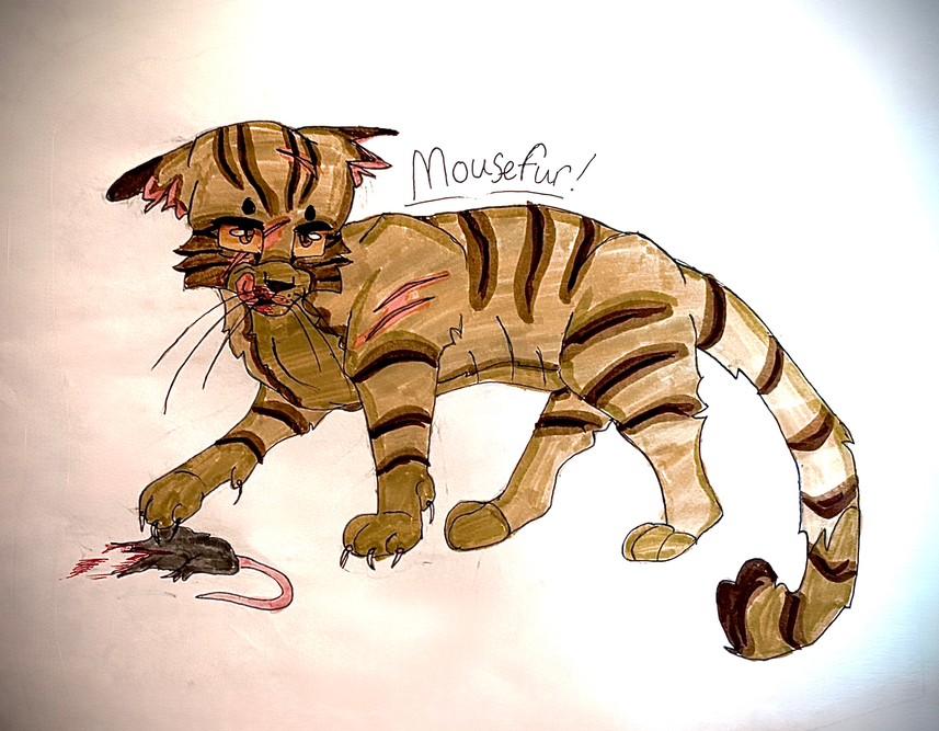 AutumnalArtist – Favorite elder challenge