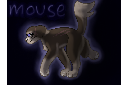 FLYAWAY – Favorite elder challenge