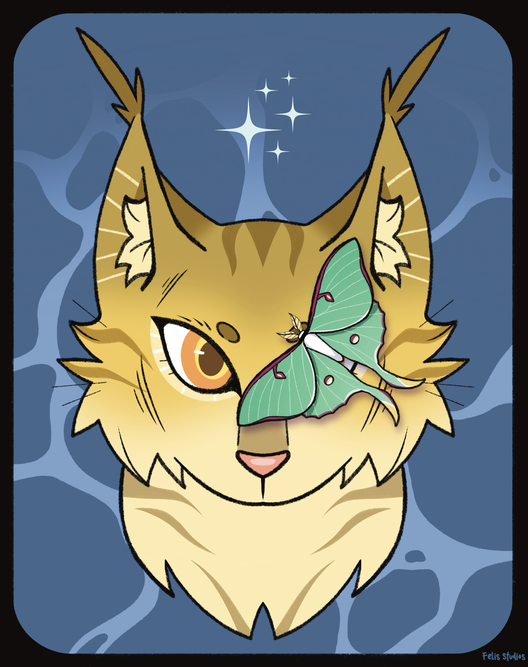 _cookie_drawz_ – Favorite elder challenge