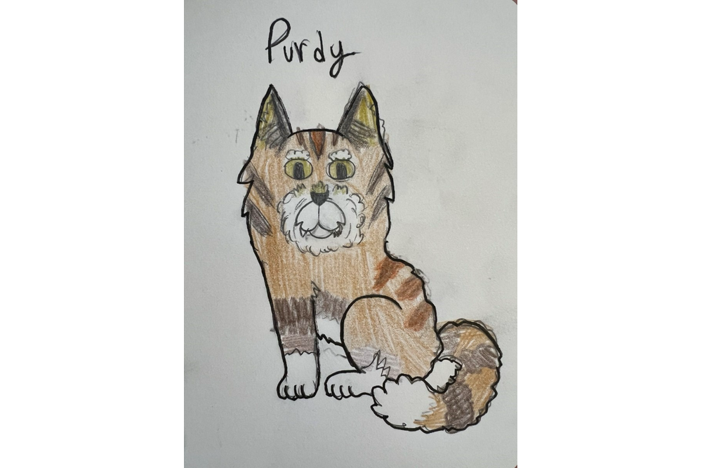 FirestarofBoulderClan – Favorite elder challenge