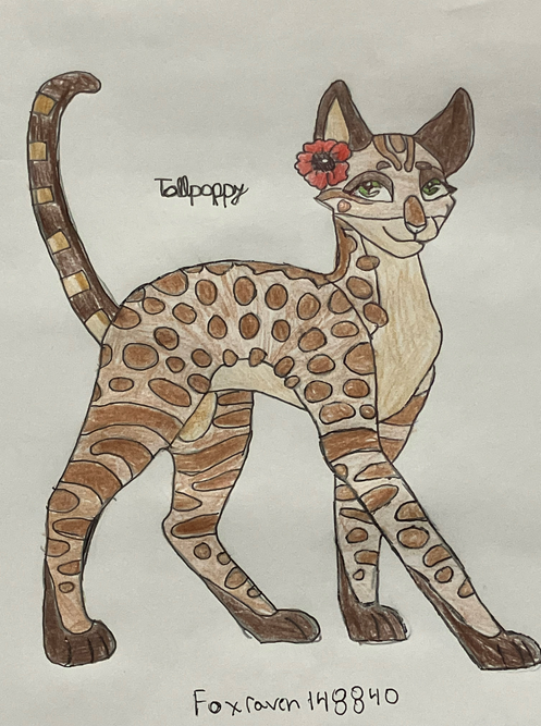 CALICO – Favorite elder challenge