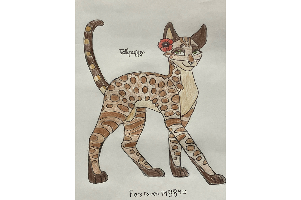 Foxraven148840 – Favorite elder challenge