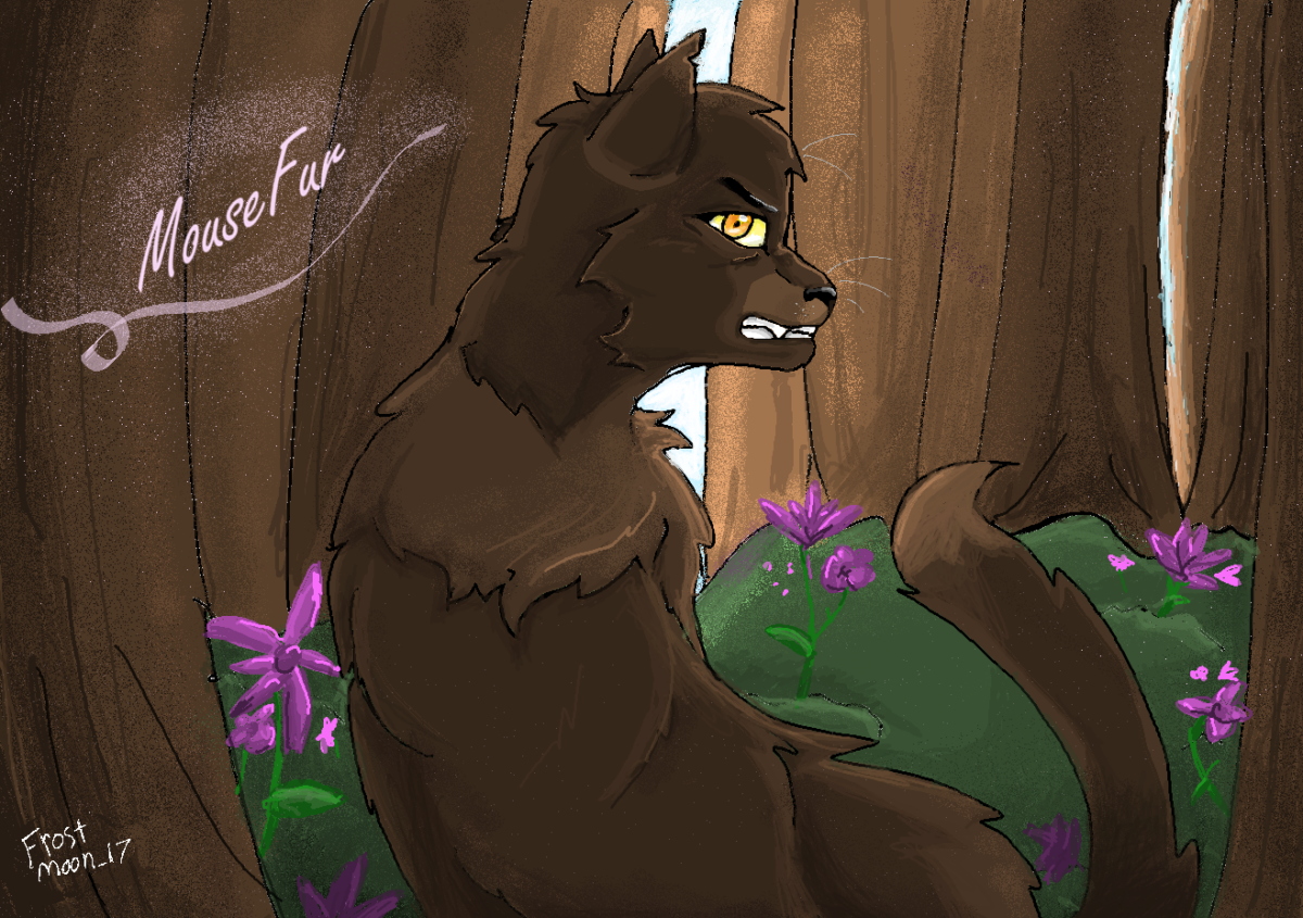 AutumnalArtist – Favorite elder challenge