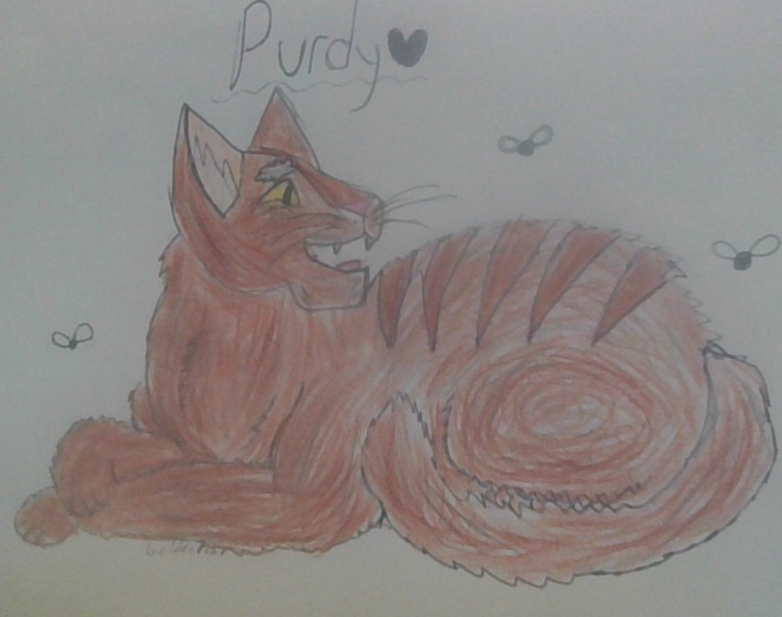 FirestarofBoulderClan – Favorite elder challenge