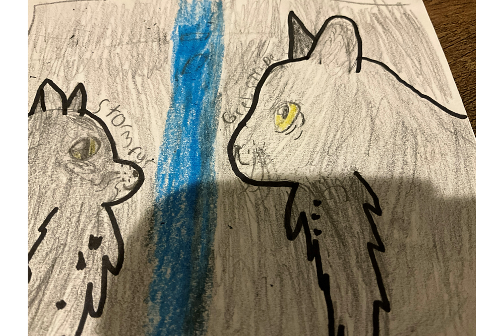 Grey Fin – Favorite elder challenge