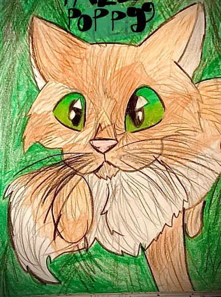 Ravenholly12 – Favorite elder challenge