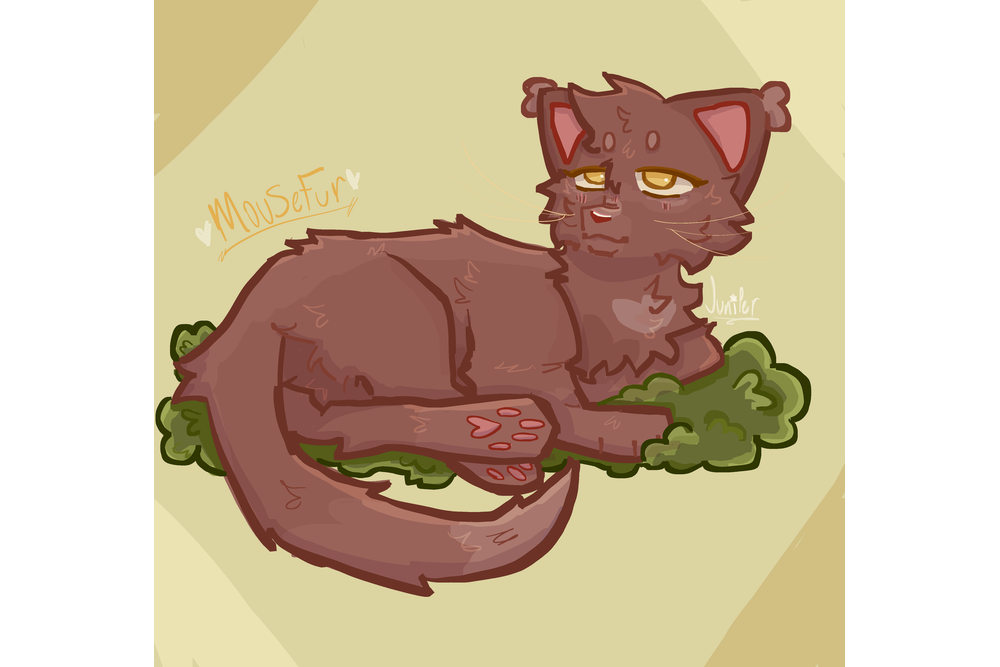 JUNIPERPAW – Favorite elder challenge