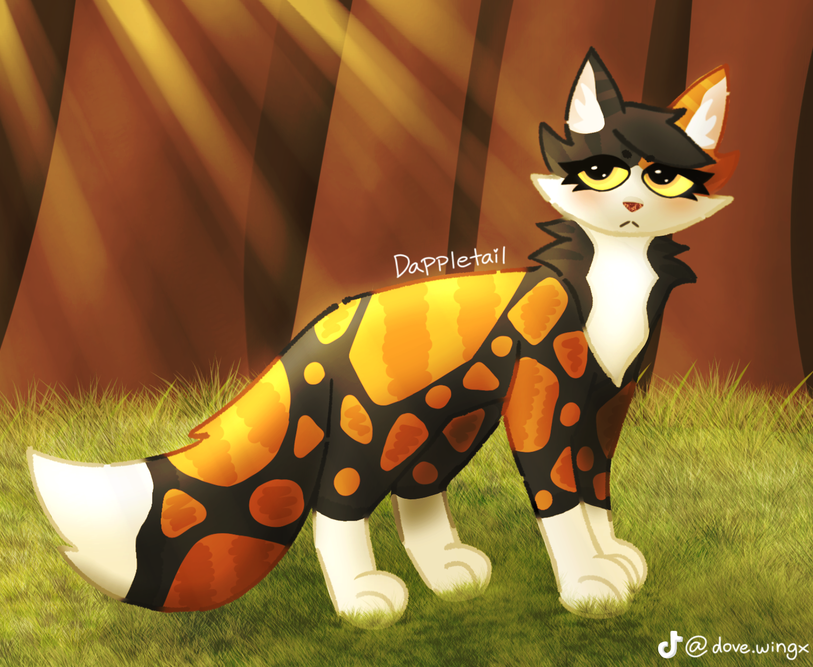 Felis Studios – Favorite elder challenge