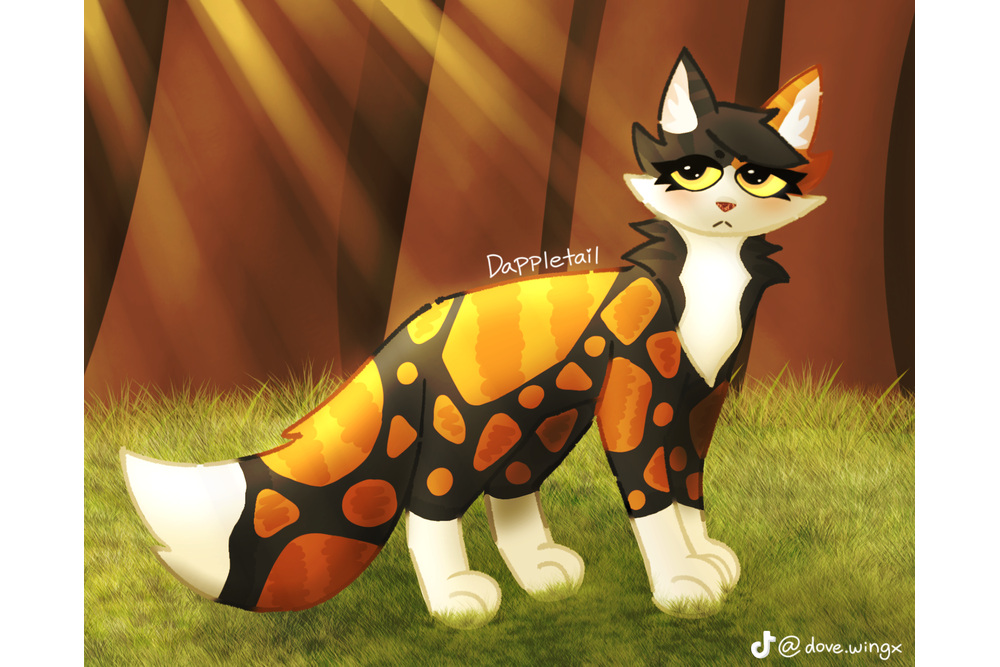 Jay – Favorite elder challenge