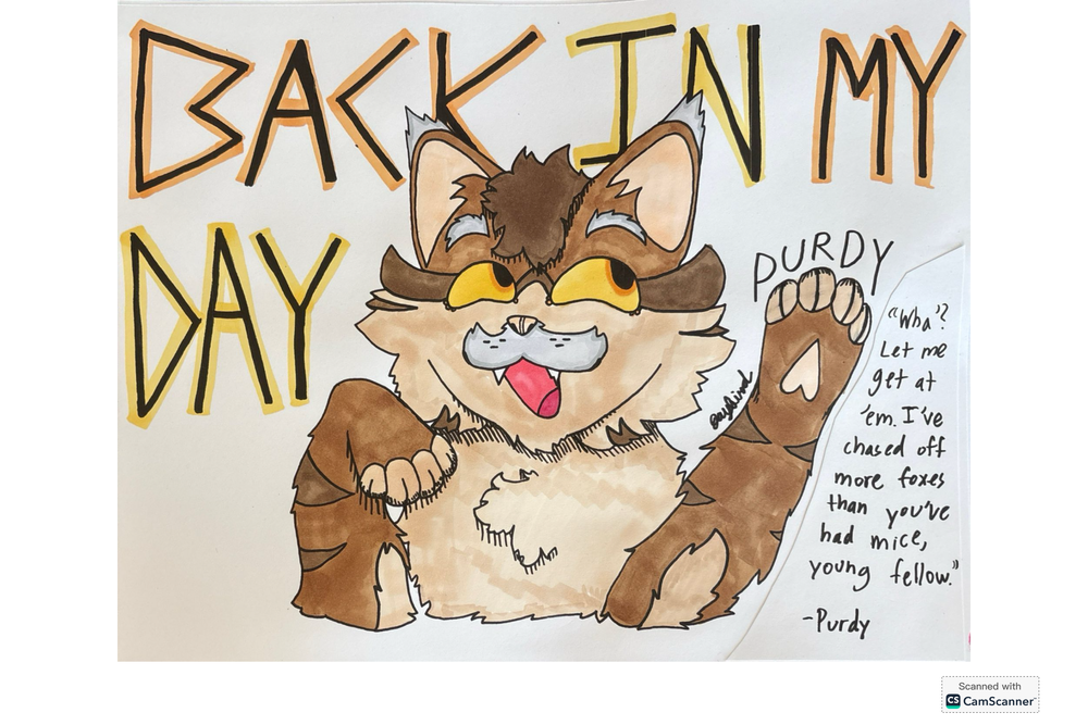 JayBird – Favorite elder challenge