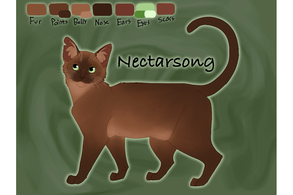 jayietheriverwarrior-deviantart