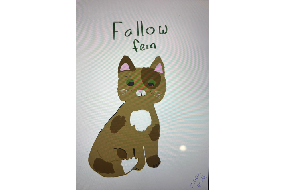 Joanna – Favorite elder challenge