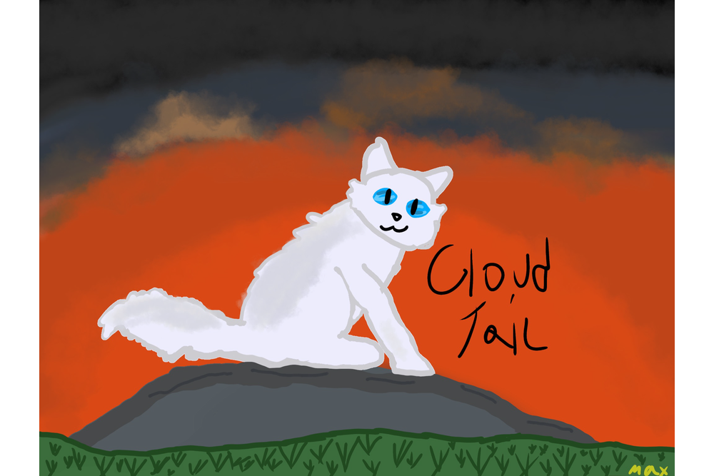 Max – Favorite elder challenge