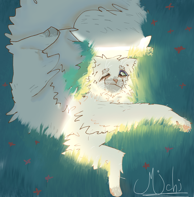 JUNIPERPAW – Favorite elder challenge