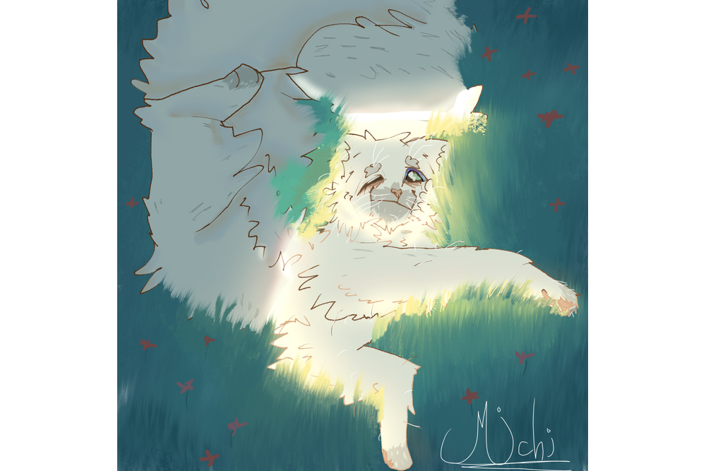 Michi_galaxy – Favorite elder challenge