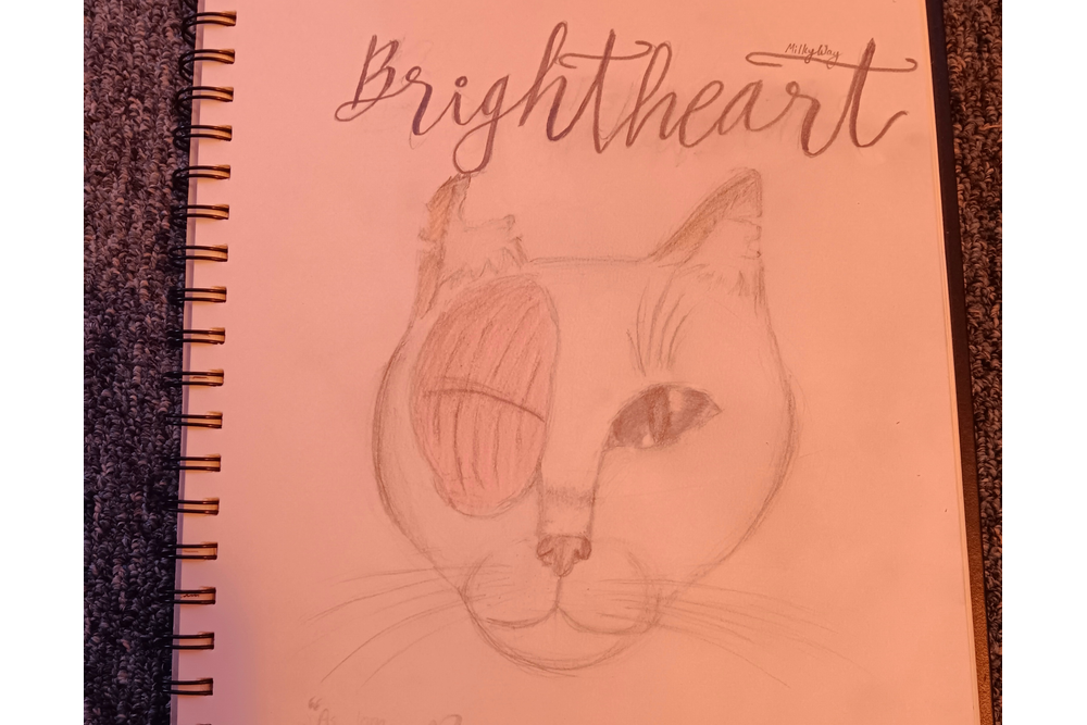 MilkyWay – Favorite elder challenge