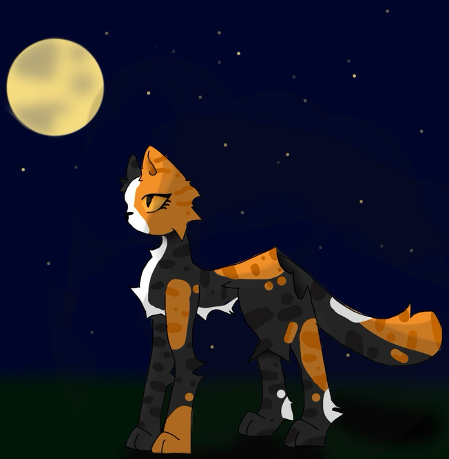 Lucie – Favorite elder challenge