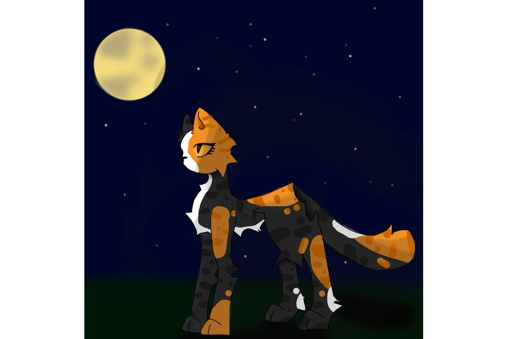 Natalia – Favorite elder challenge