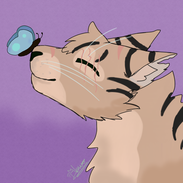 Nightleap – Favorite elder challenge