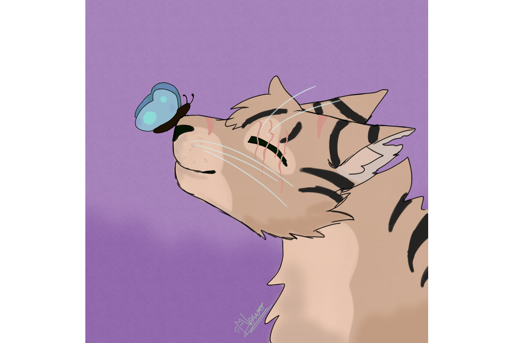 Nowo – Favorite elder challenge