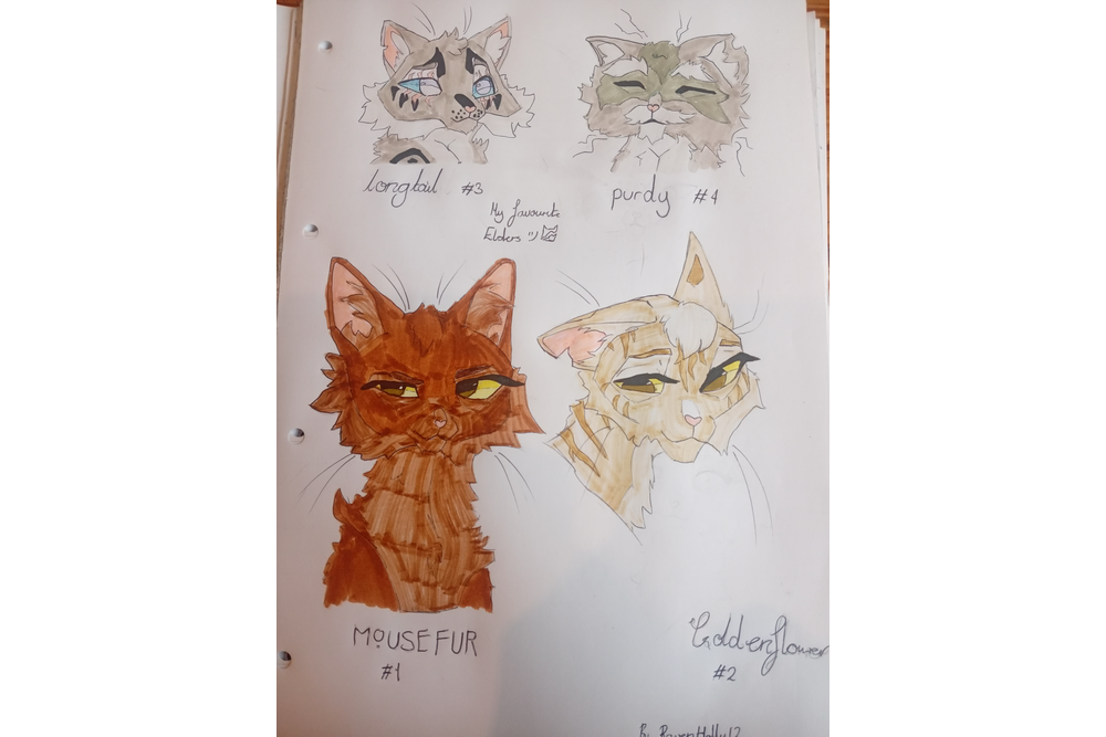 Ravenholly12 – Favorite elder challenge