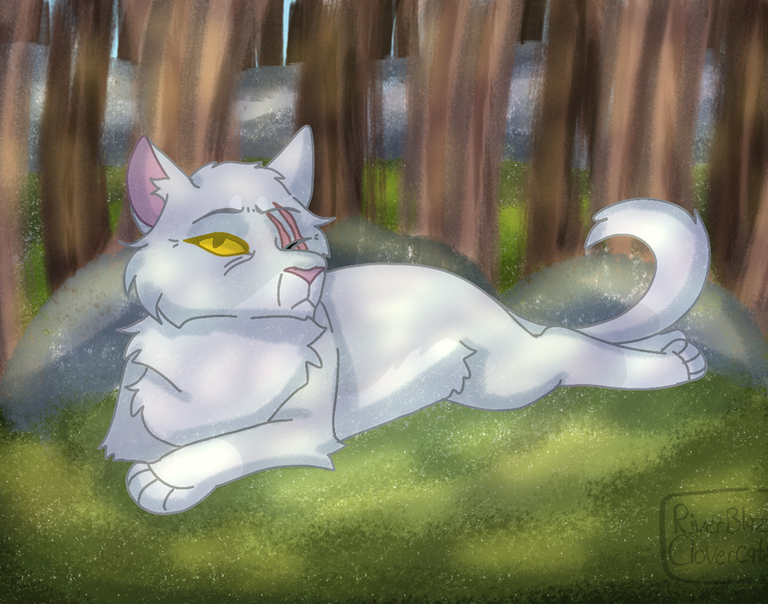 prima – Favorite elder challenge