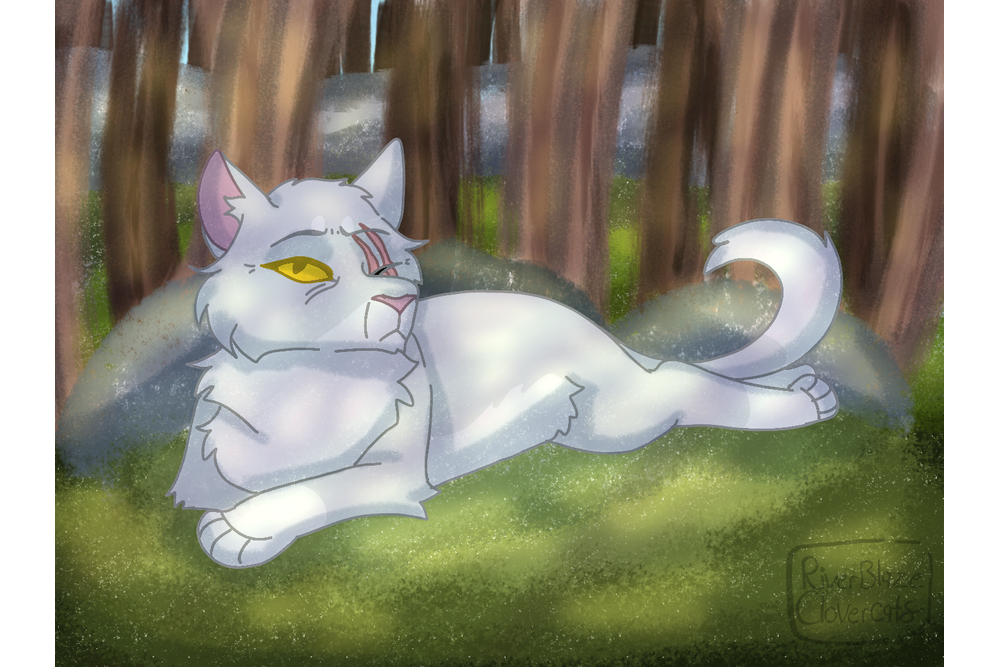 RiverBlazeCC – Favorite elder challenge