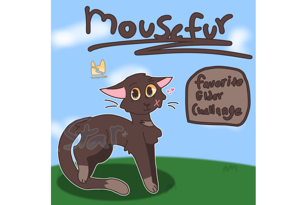 Star – Favorite elder challenge