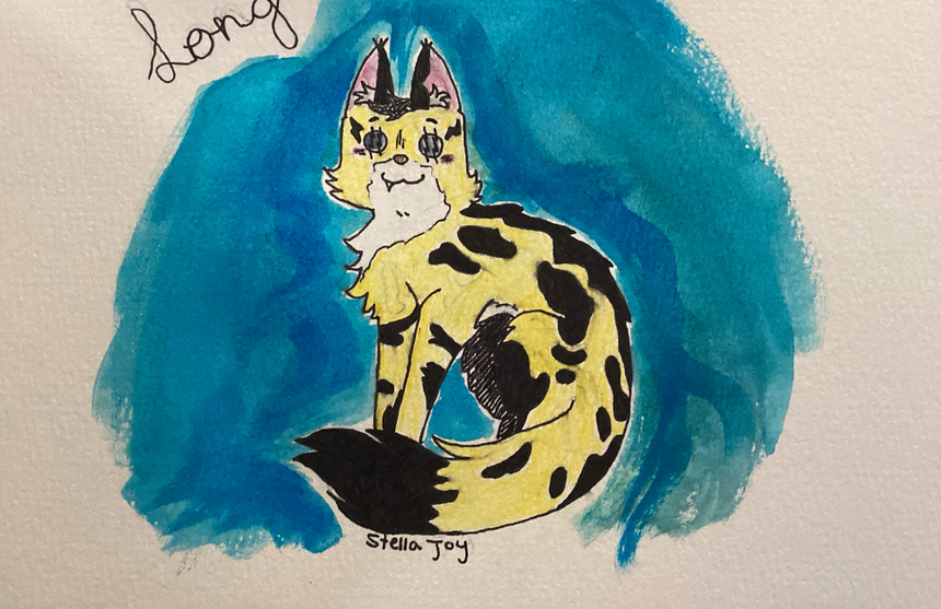 Aurora – Favorite elder challenge