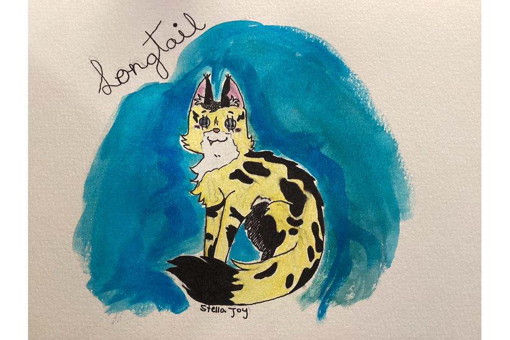 Stella Joy – Favorite elder challenge