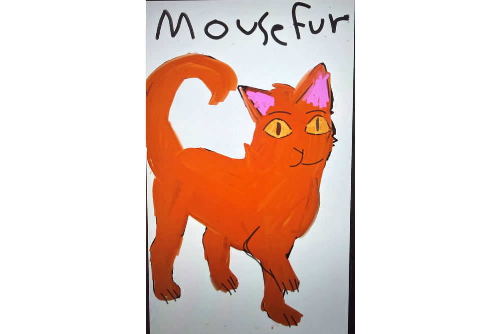 Sullivan – Favorite elder challenge