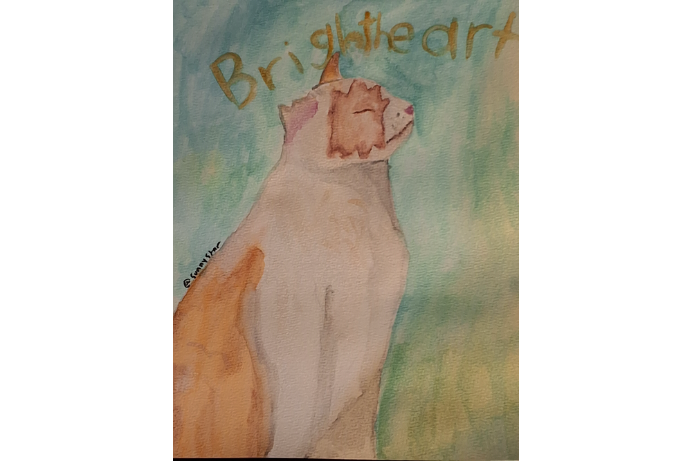 Sunnystar – Favorite elder challenge