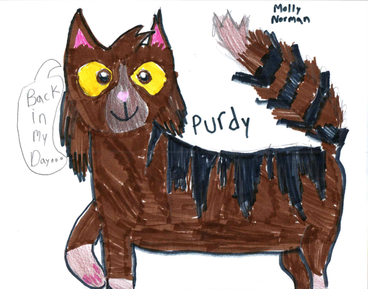 AC – Favorite elder challenge