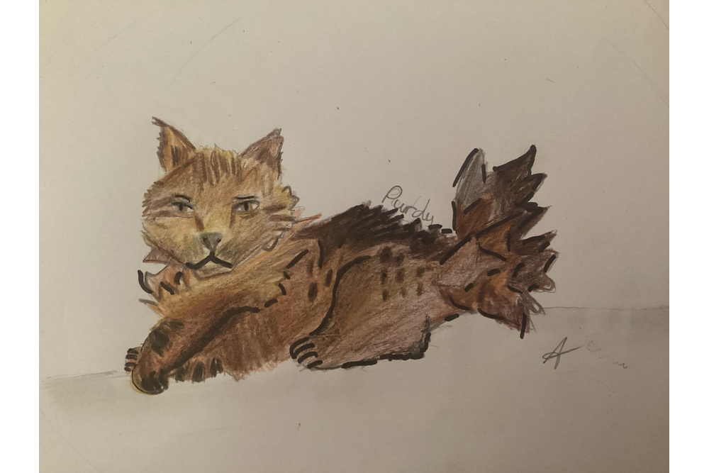 Vipertail – Favorite elder challenge