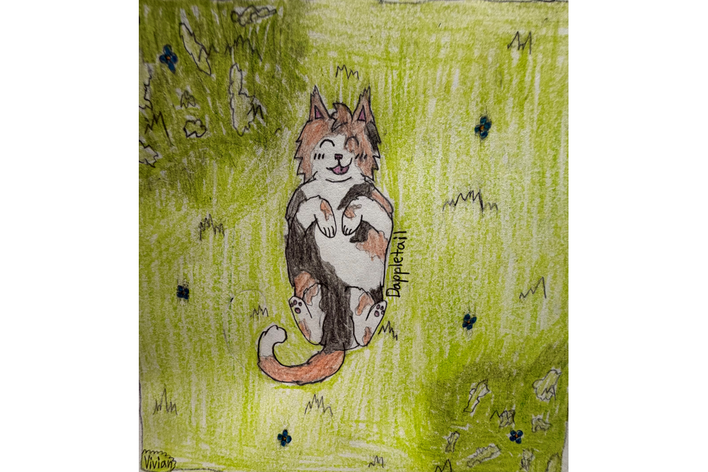 Vivian – Favorite elder challenge