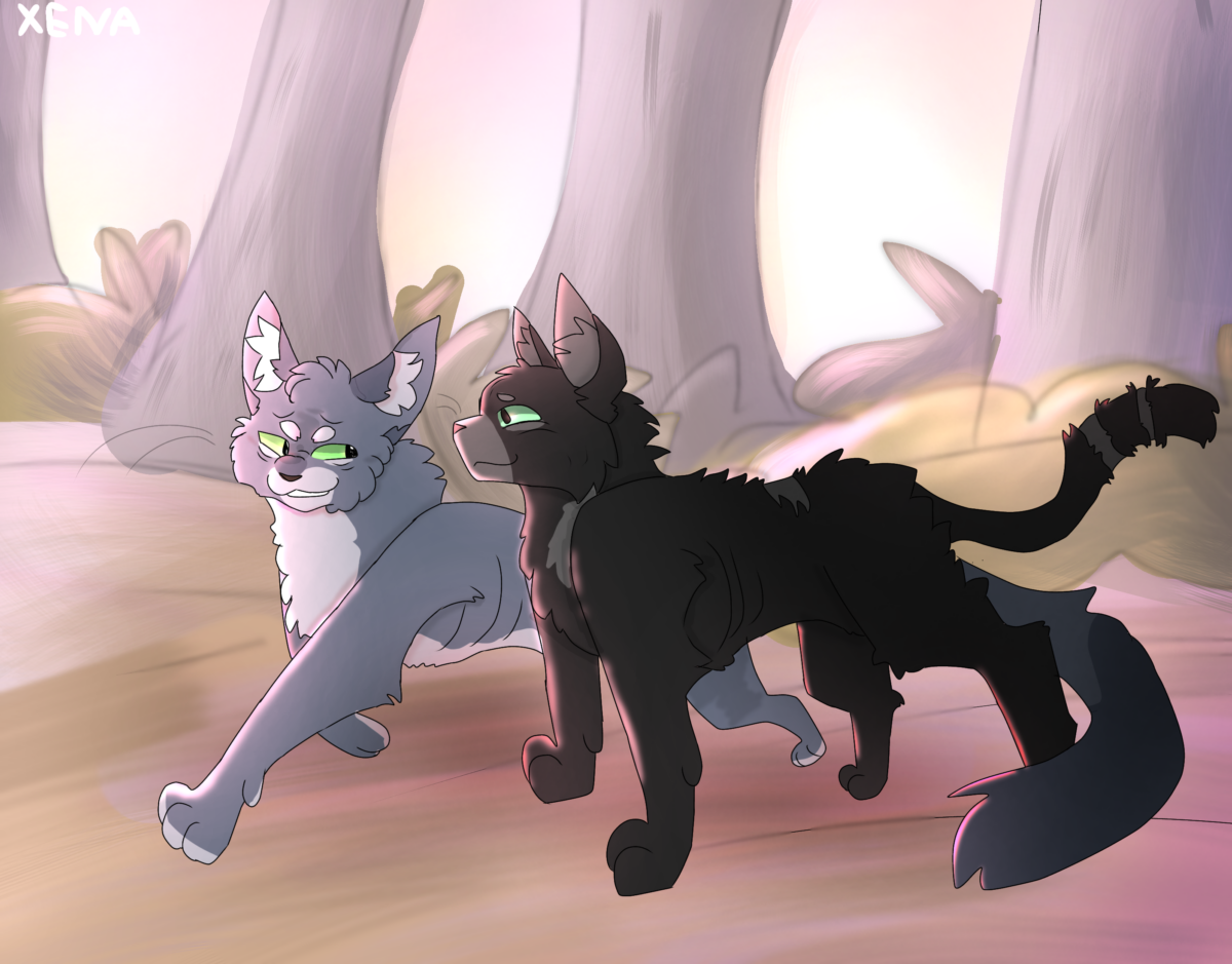 5imca.cz – Favorite elder challenge