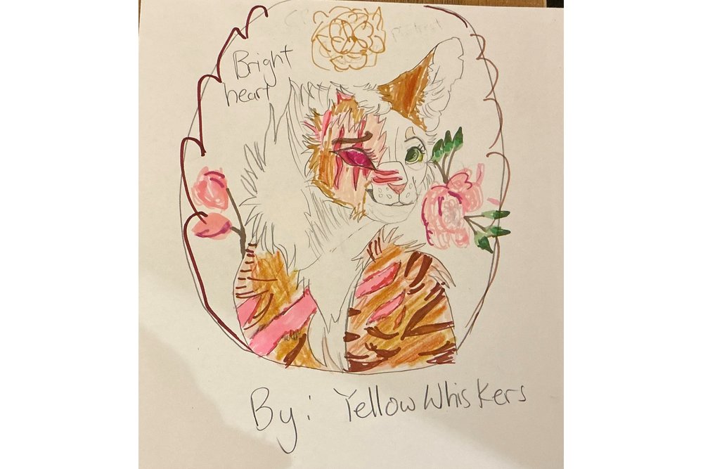 YellowWhiskers – Favorite elder challenge