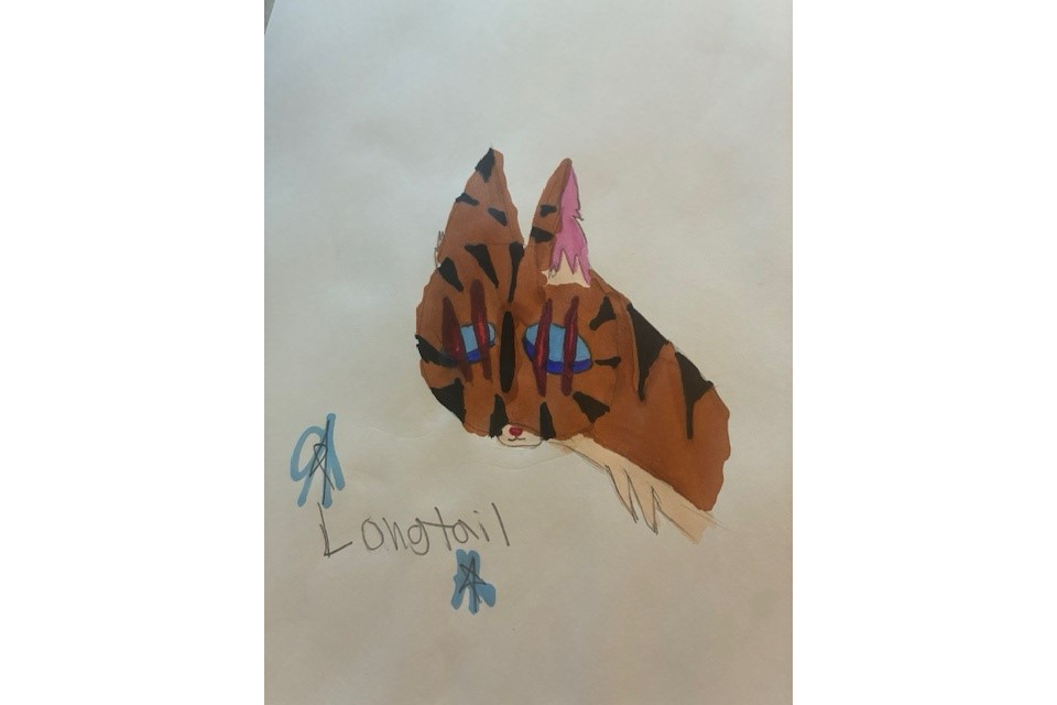 bounce – Favorite elder challenge