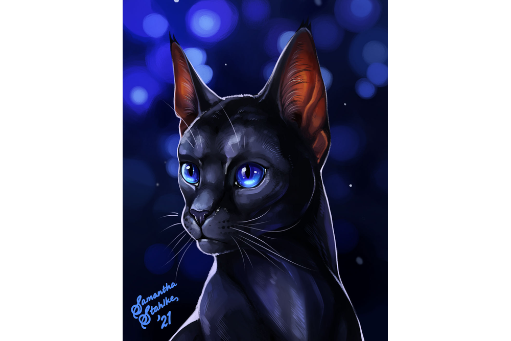 charlatan-of-doom-deviantart