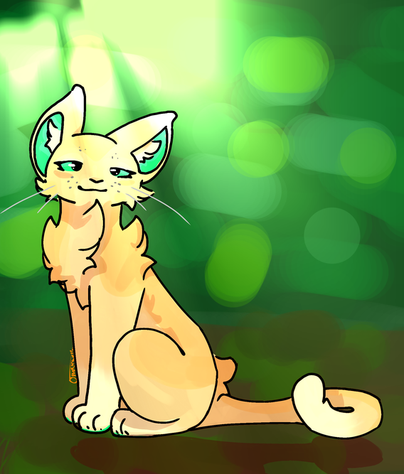 Jay – Favorite elder challenge