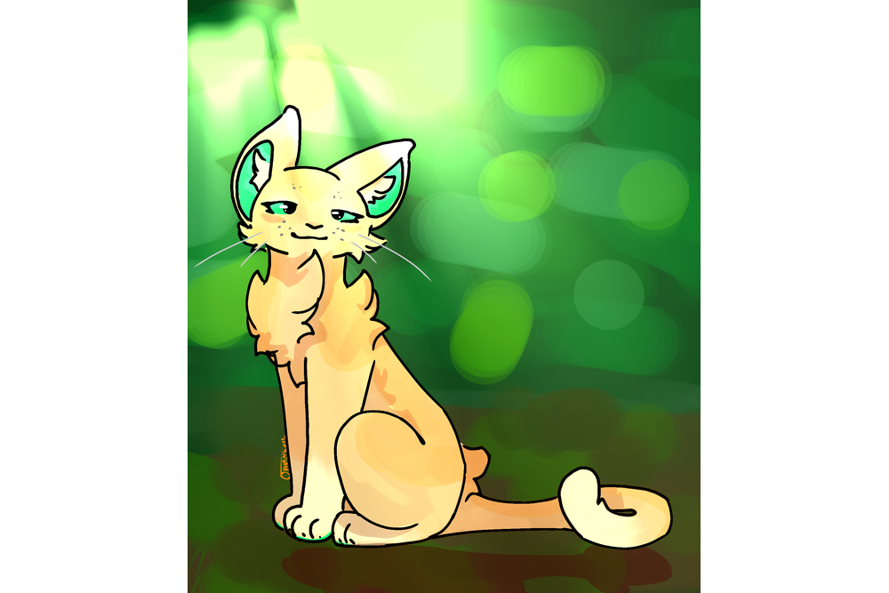 livy_pickles27 – Favorite elder challenge