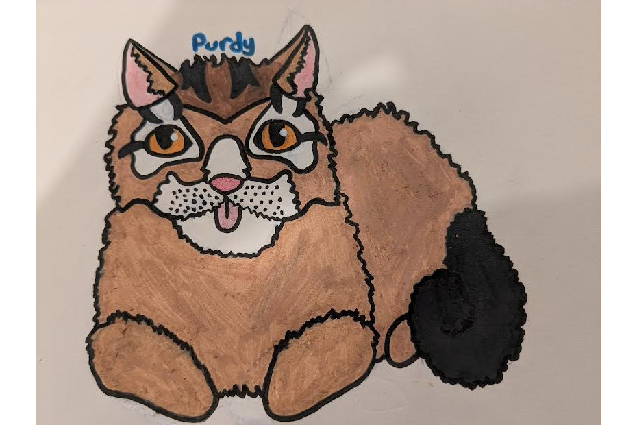 super_cat_lover_67 – Favorite elder challenge