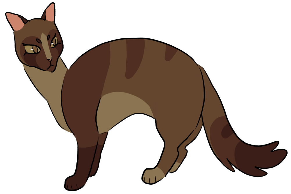 sweetriverstyxwarriorsarchive-tumblr-4